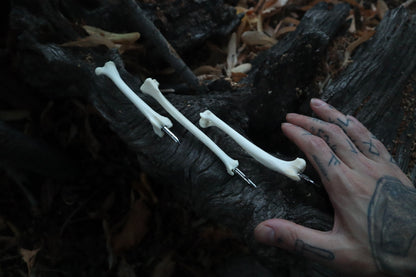 Reserved for Vinette - Red Fox Bone Calligraphy Pen