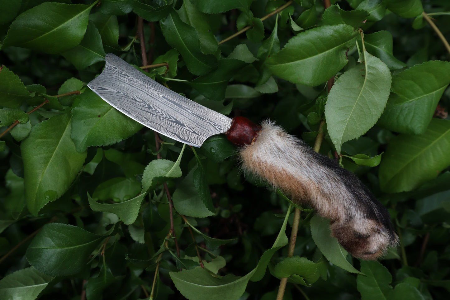 Reserved for D.C. - Damascus Red Fox Paw Cleaver
