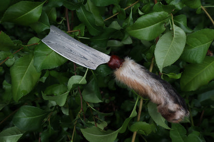 Reserved for D.C. - Damascus Red Fox Paw Cleaver