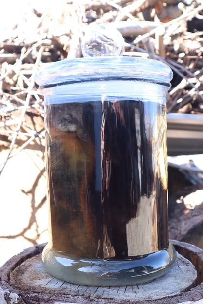 Reserved for Devyn - Pine Marten Wet Specimen