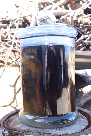 Reserved for Devyn - Pine Marten Wet Specimen