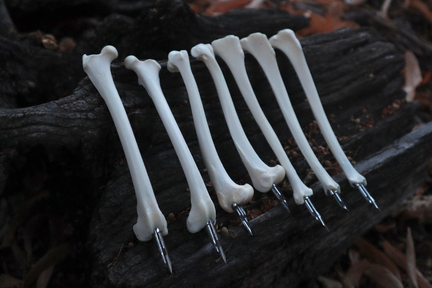 Reserved for Allie - Red Fox Bone Calligraphy Pen