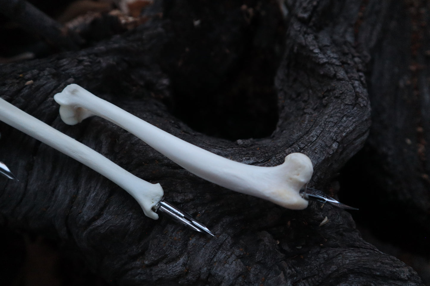 Reserved for Vinette - Red Fox Bone Calligraphy Pen