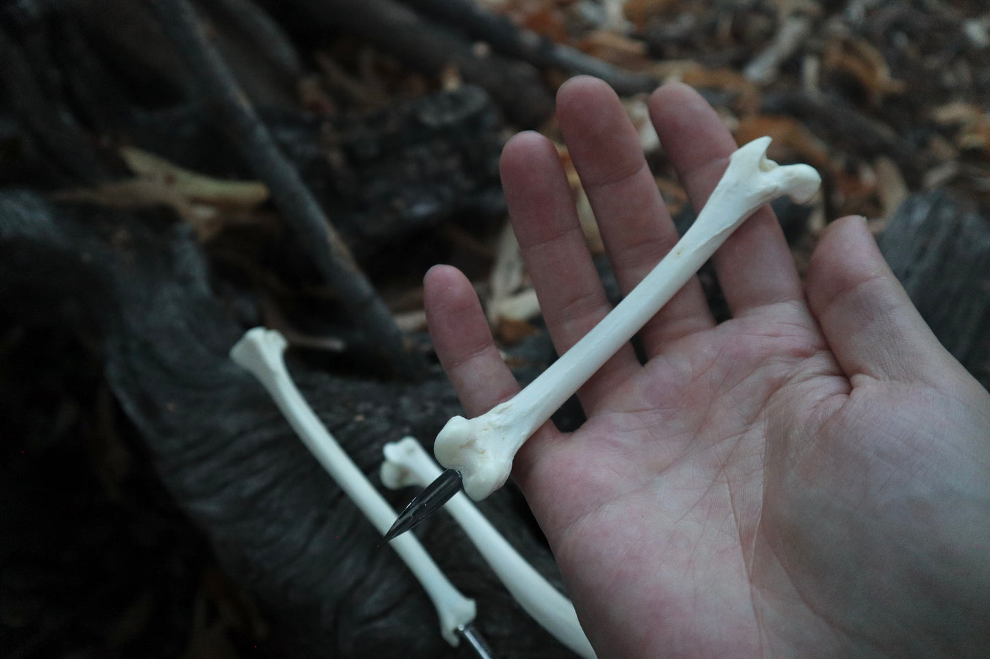 Reserved for Allie - Red Fox Bone Calligraphy Pen