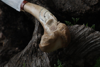 Reserved for Brandon - German Shepherd Bone Skull Knife