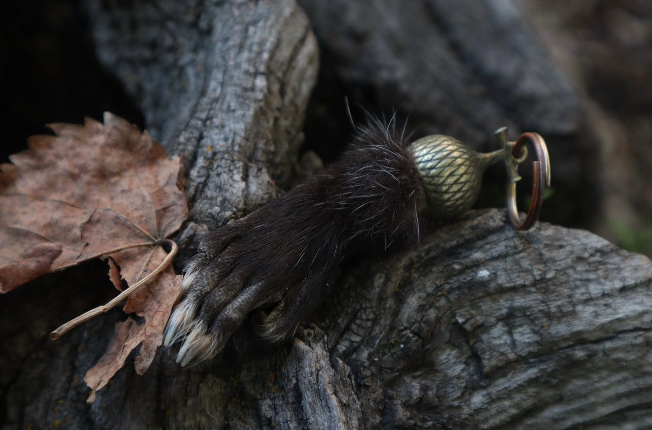 Opossum Paw Acorn Keychain