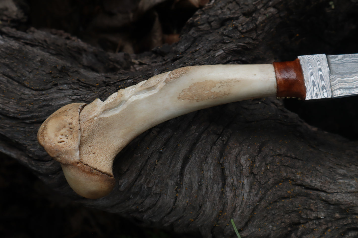 Reserved for Brandon - German Shepherd Bone Skull Knife