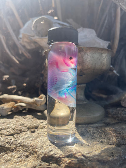 Diaphonized Fetal Skunk