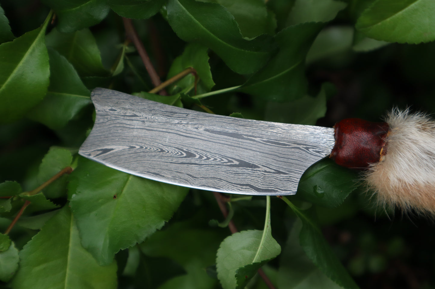 Reserved for D.C. - Damascus Red Fox Paw Cleaver