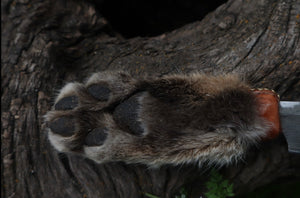 Damascus Bobcat Paw Cleaver