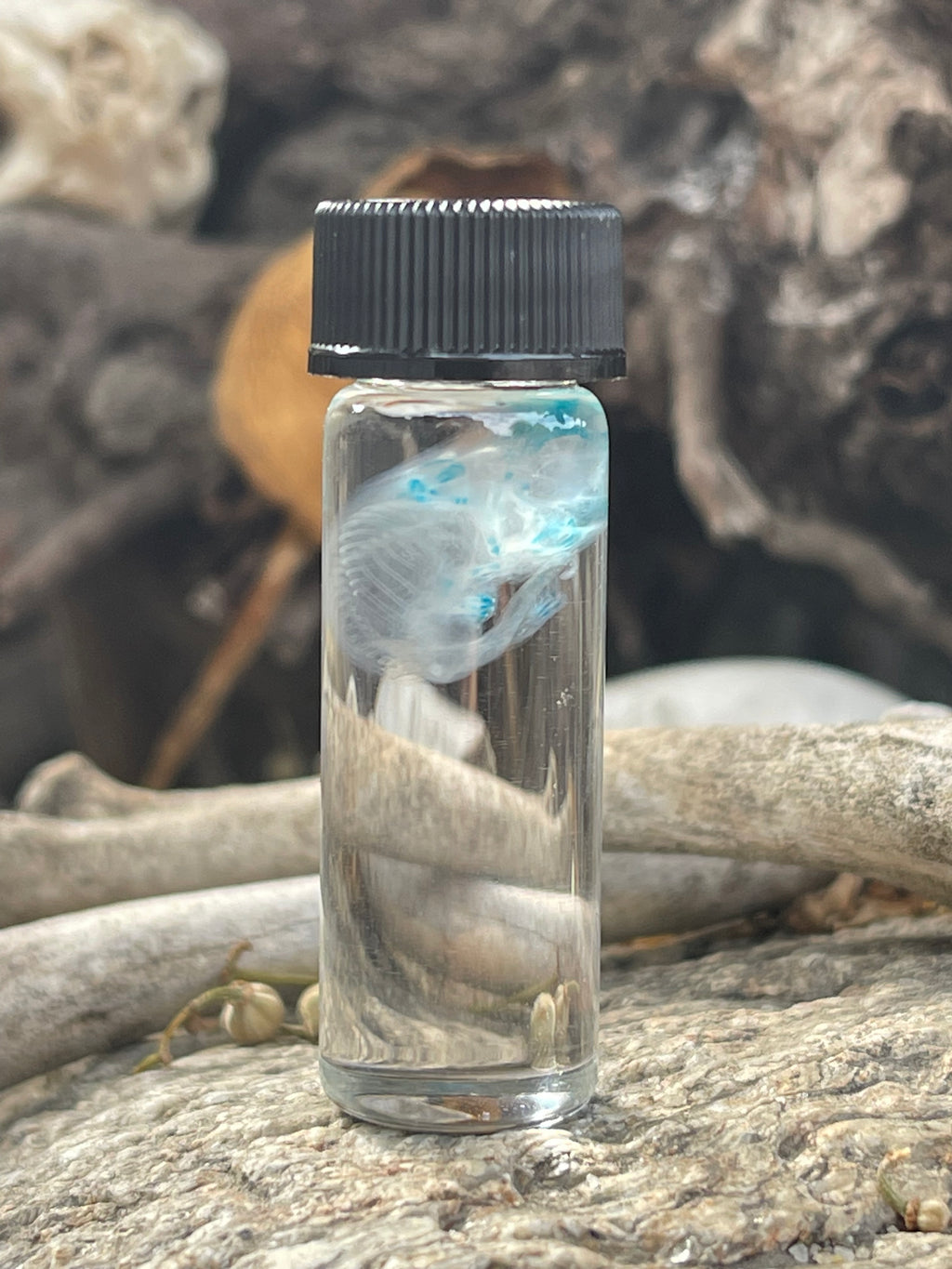 Diaphonized Fetal Mouse