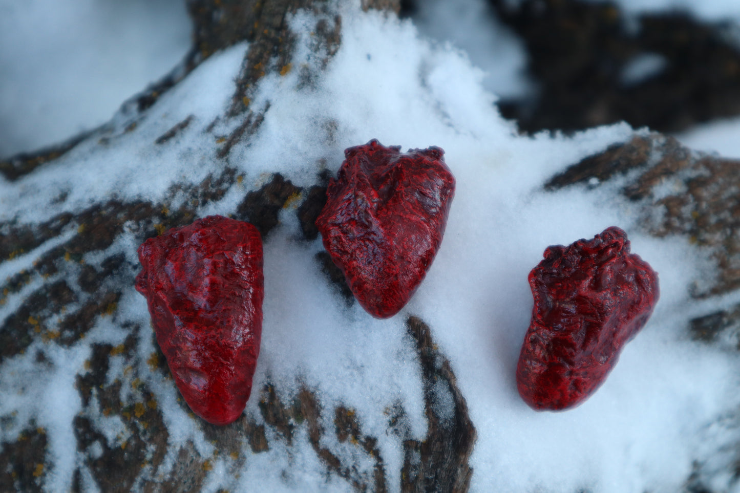 Dry Preserved Chicken Heart