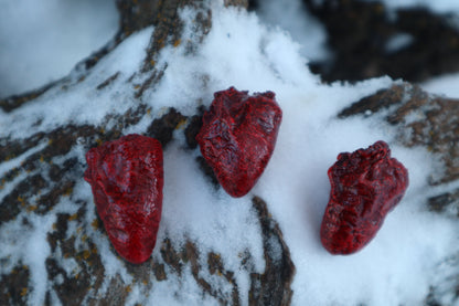 Dry Preserved Chicken Heart