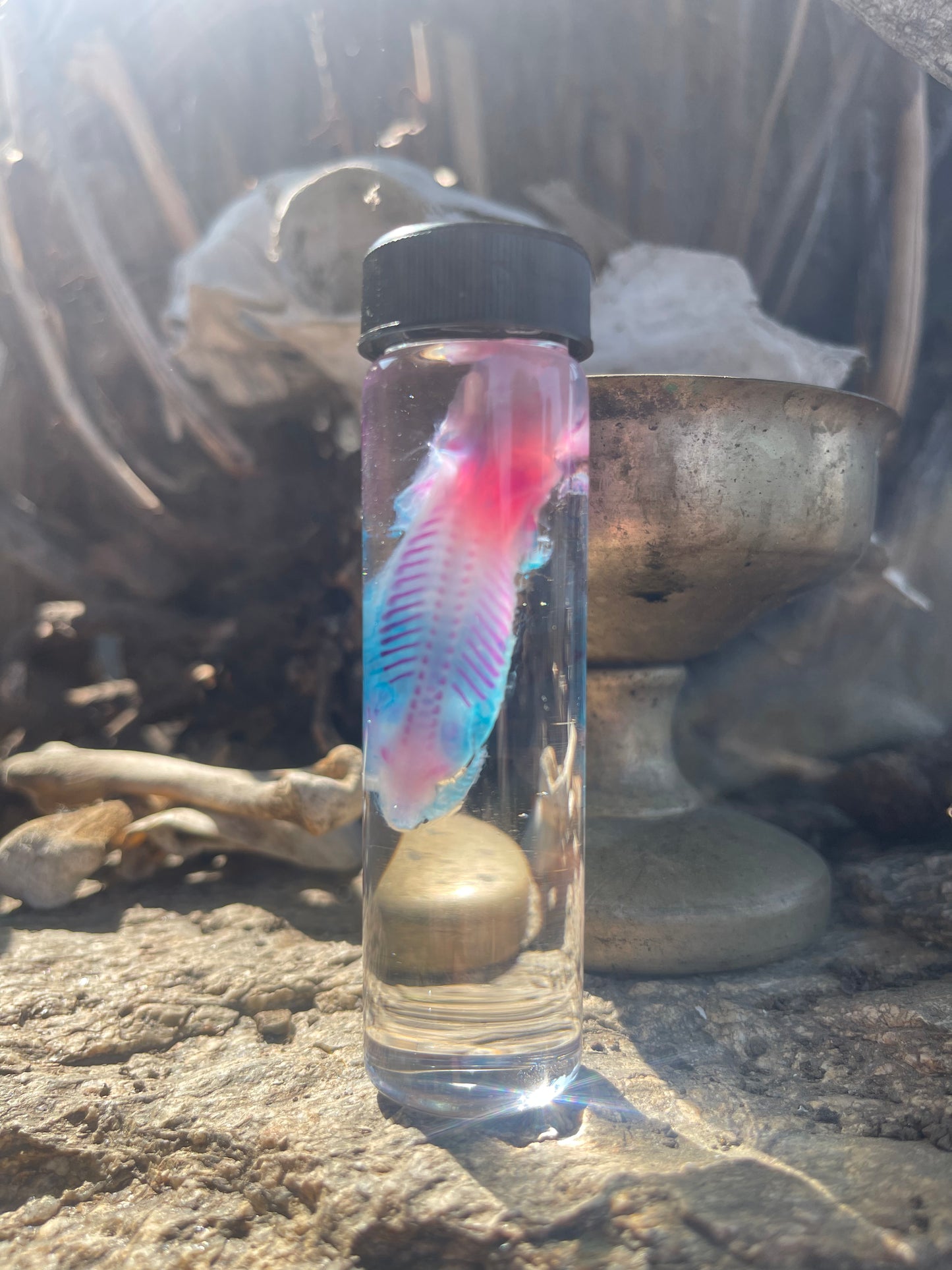 Diaphonized Fetal Skunk