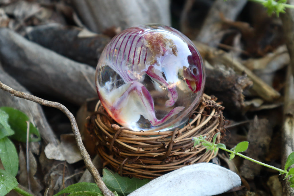 Diaphonized Mouse Crystal Ball