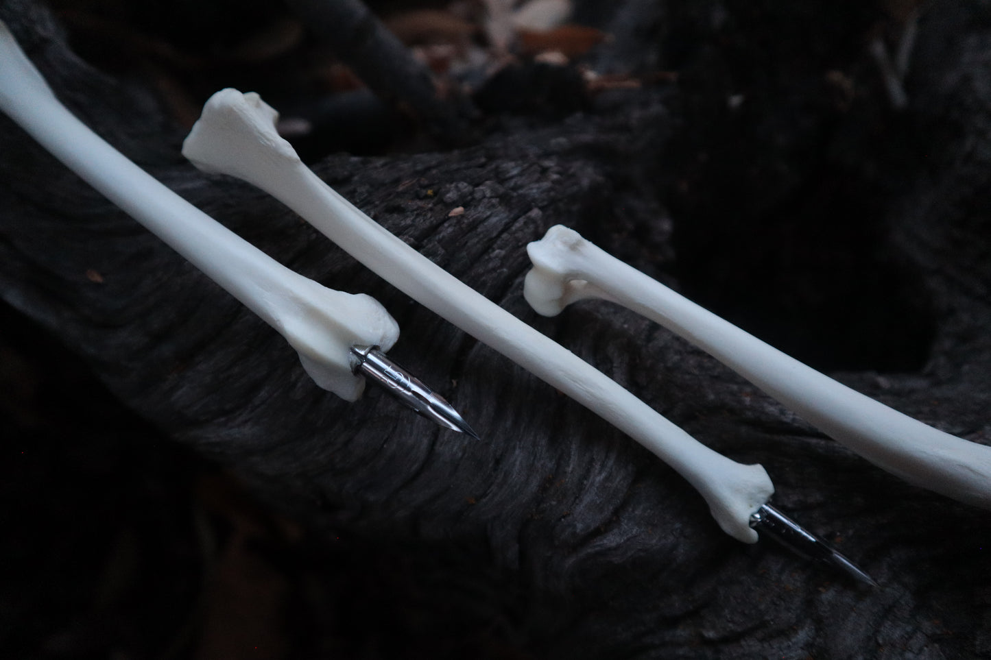 Reserved for Vinette - Red Fox Bone Calligraphy Pen