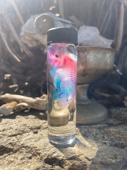 Diaphonized Fetal Skunk