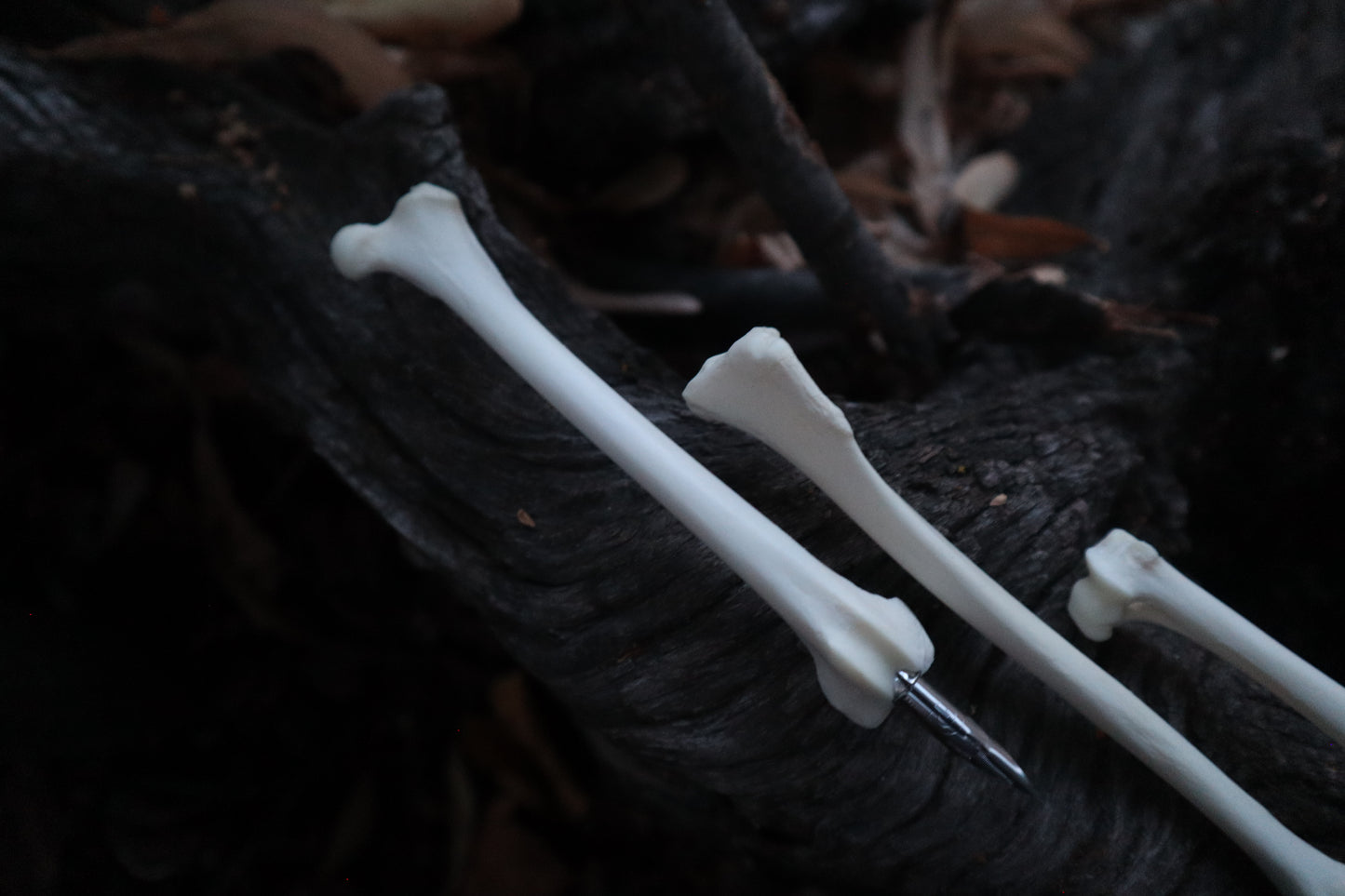 Reserved for Vinette - Red Fox Bone Calligraphy Pen