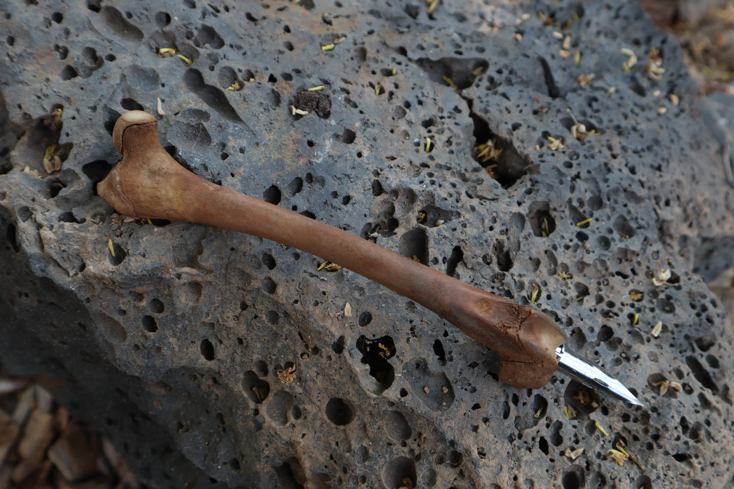 Reserved for Kelsey - Red Fox Bone Calligraphy Pen