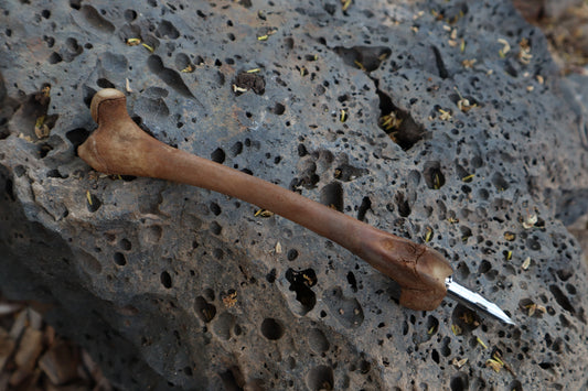 Reserved for Kelsey - Red Fox Bone Calligraphy Pen