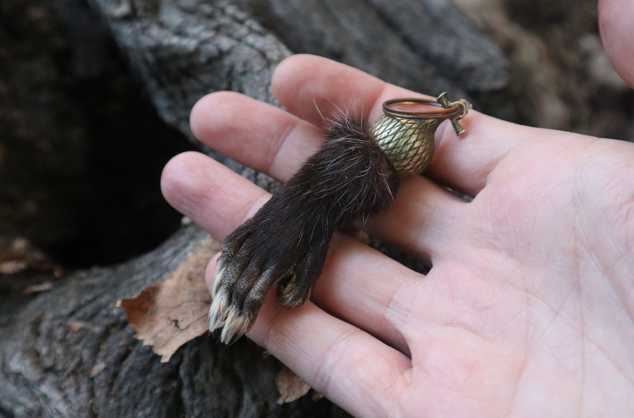 Opossum Paw Acorn Keychain
