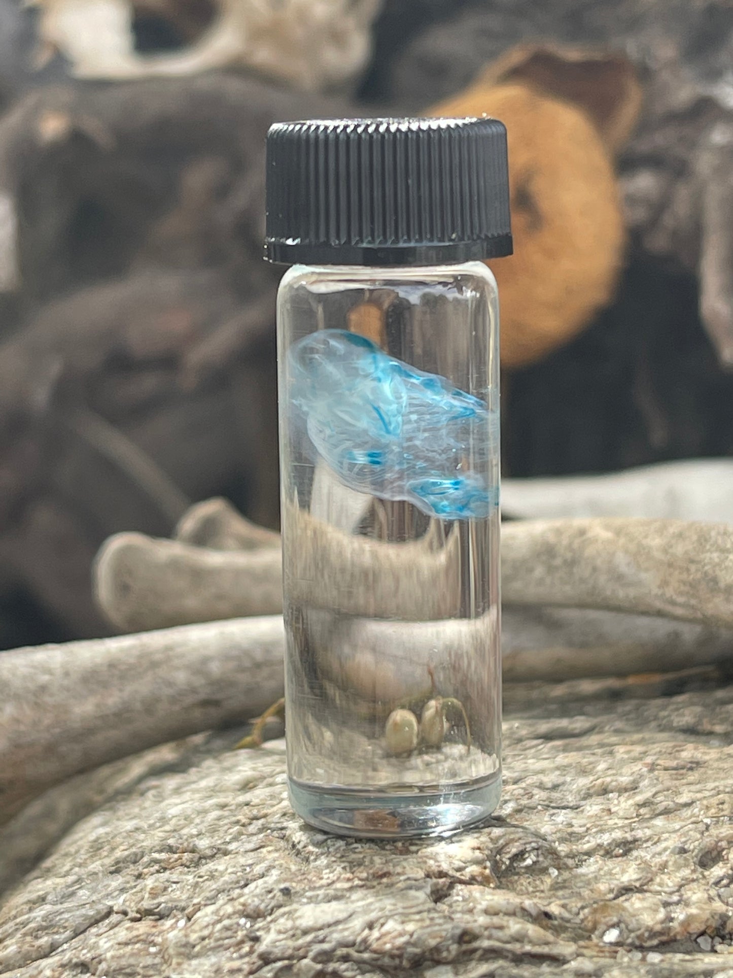 Diaphonized Fetal Mouse