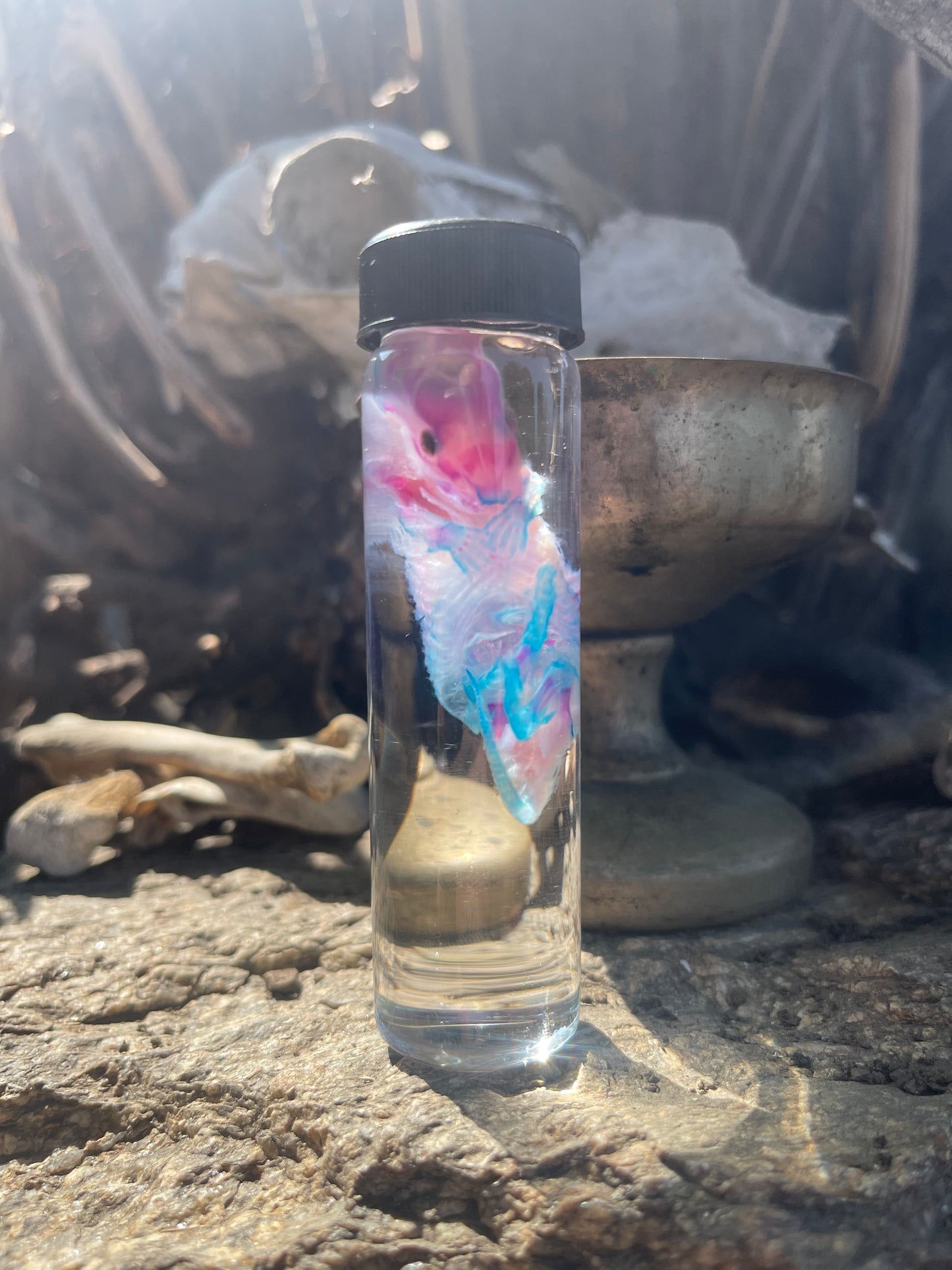 Diaphonized Fetal Skunk