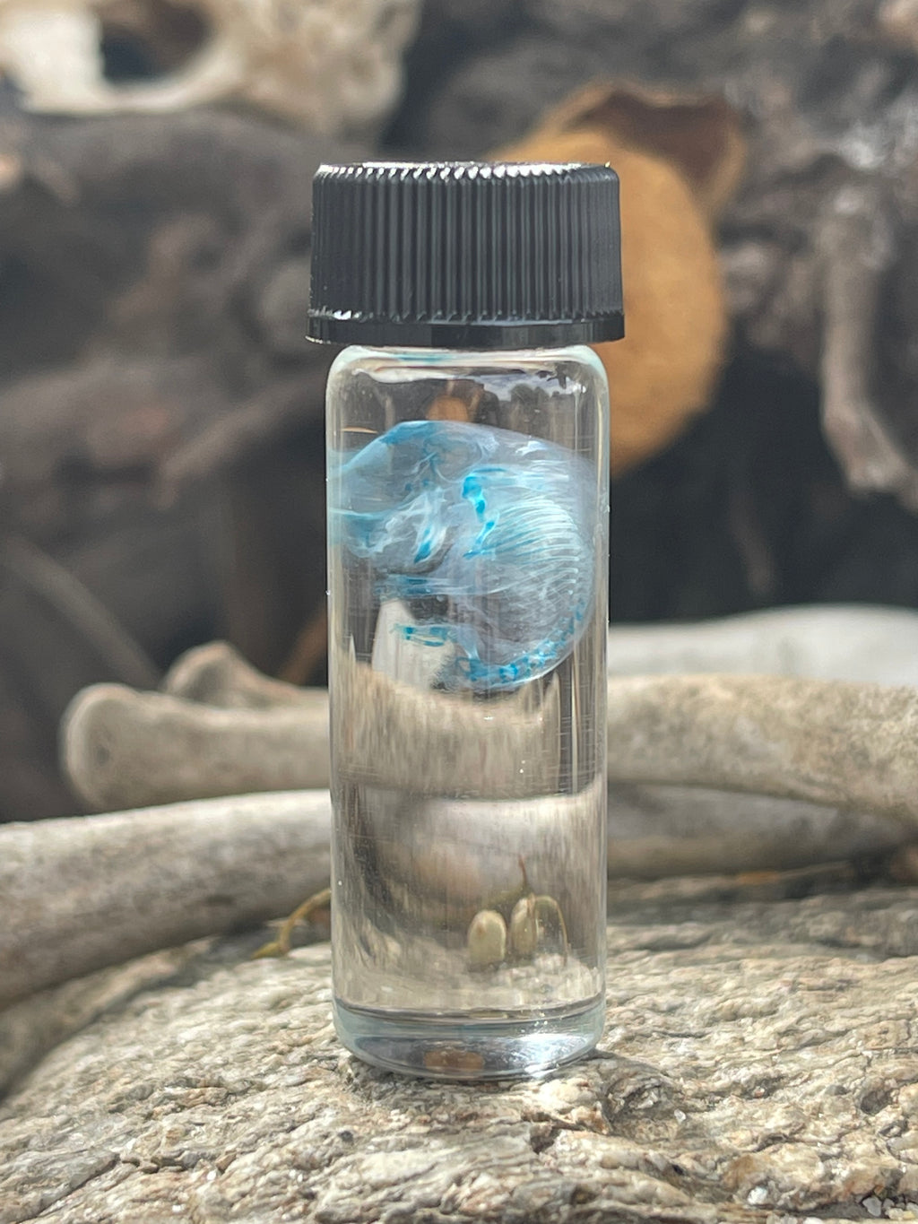 Diaphonized Fetal Mouse