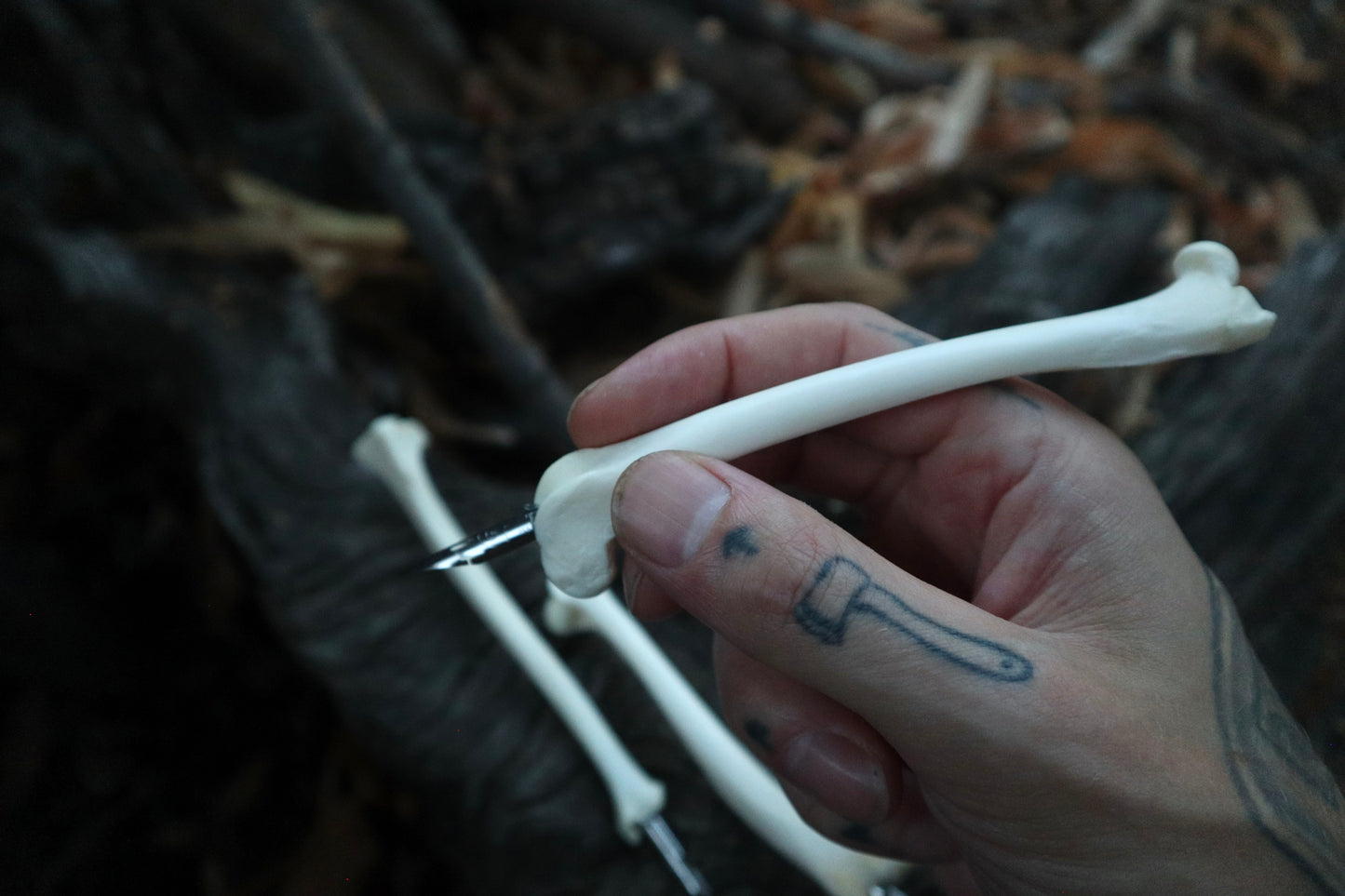 Reserved for Allie - Red Fox Bone Calligraphy Pen