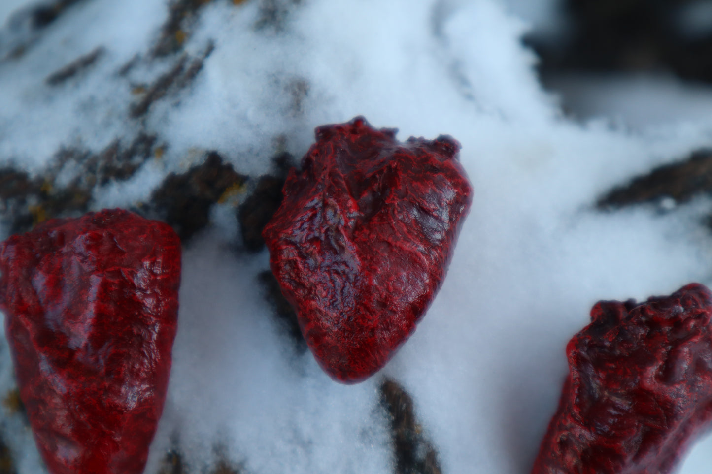 Dry Preserved Chicken Heart