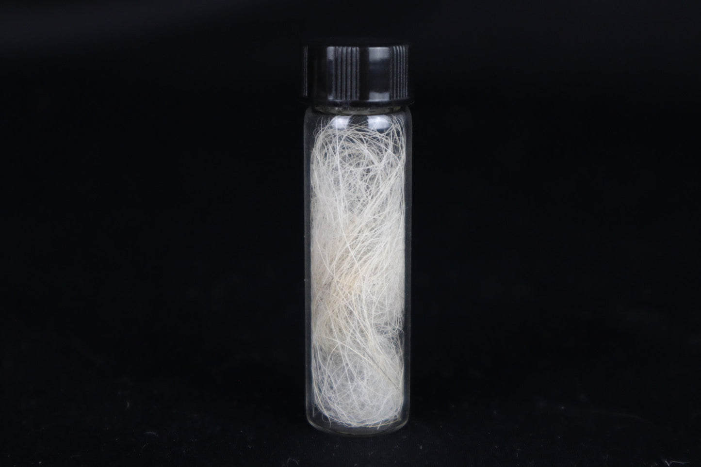 Gray Wolf Hair