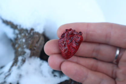 Dry Preserved Chicken Heart