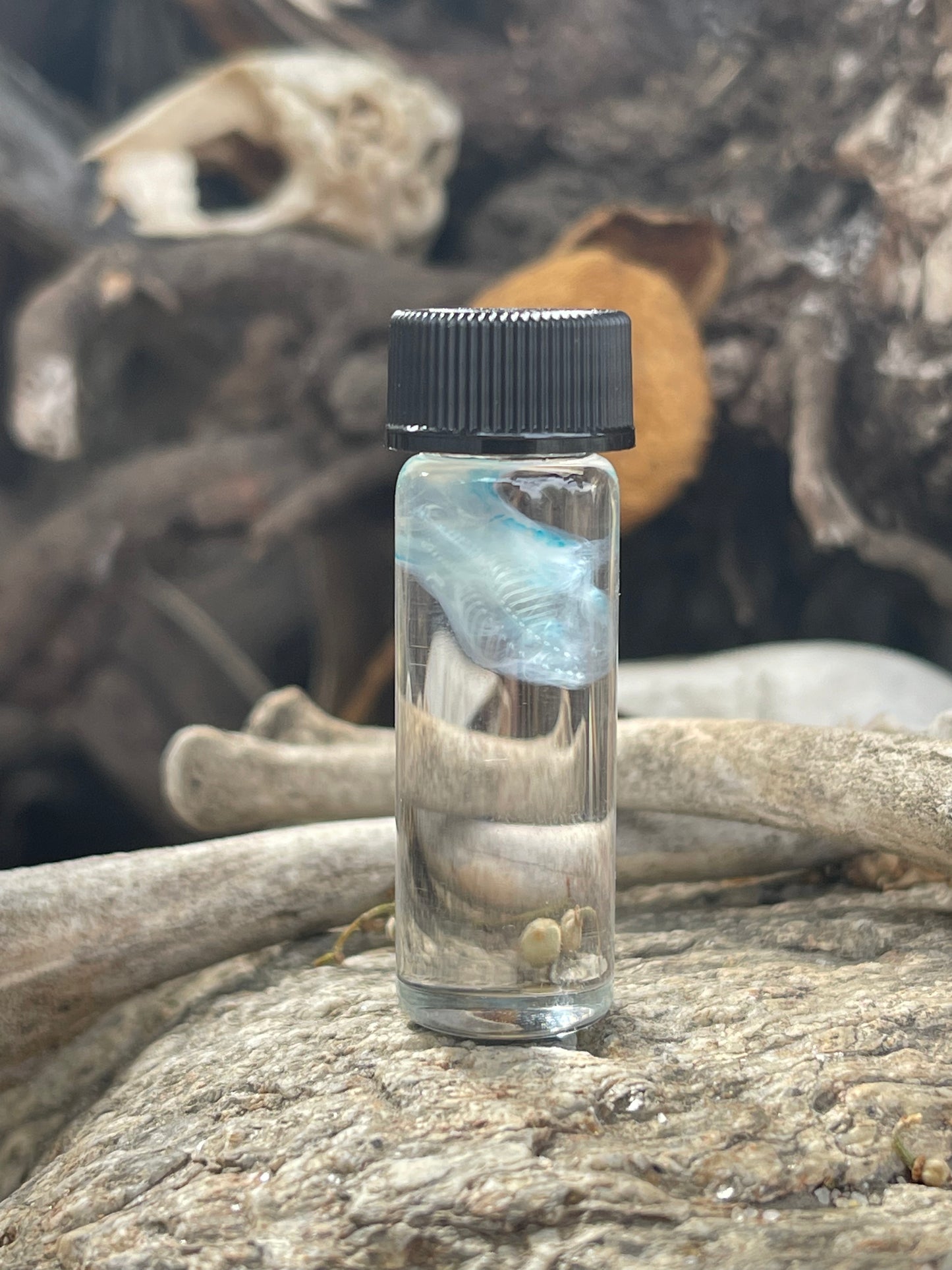 Diaphonized Fetal Mouse
