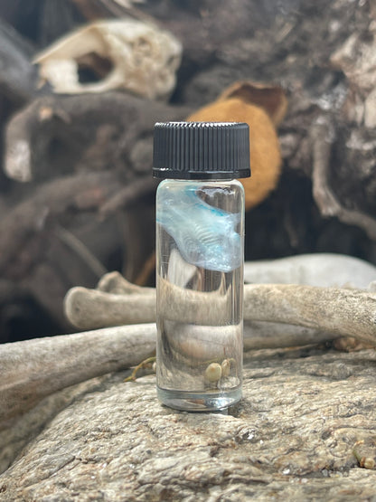 Diaphonized Fetal Mouse