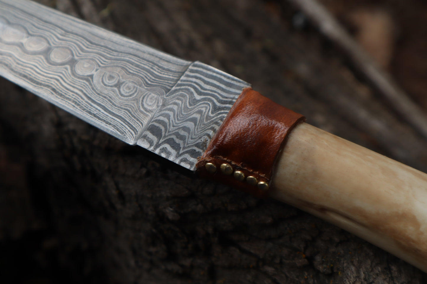 Reserved for Brandon - German Shepherd Bone Skull Knife