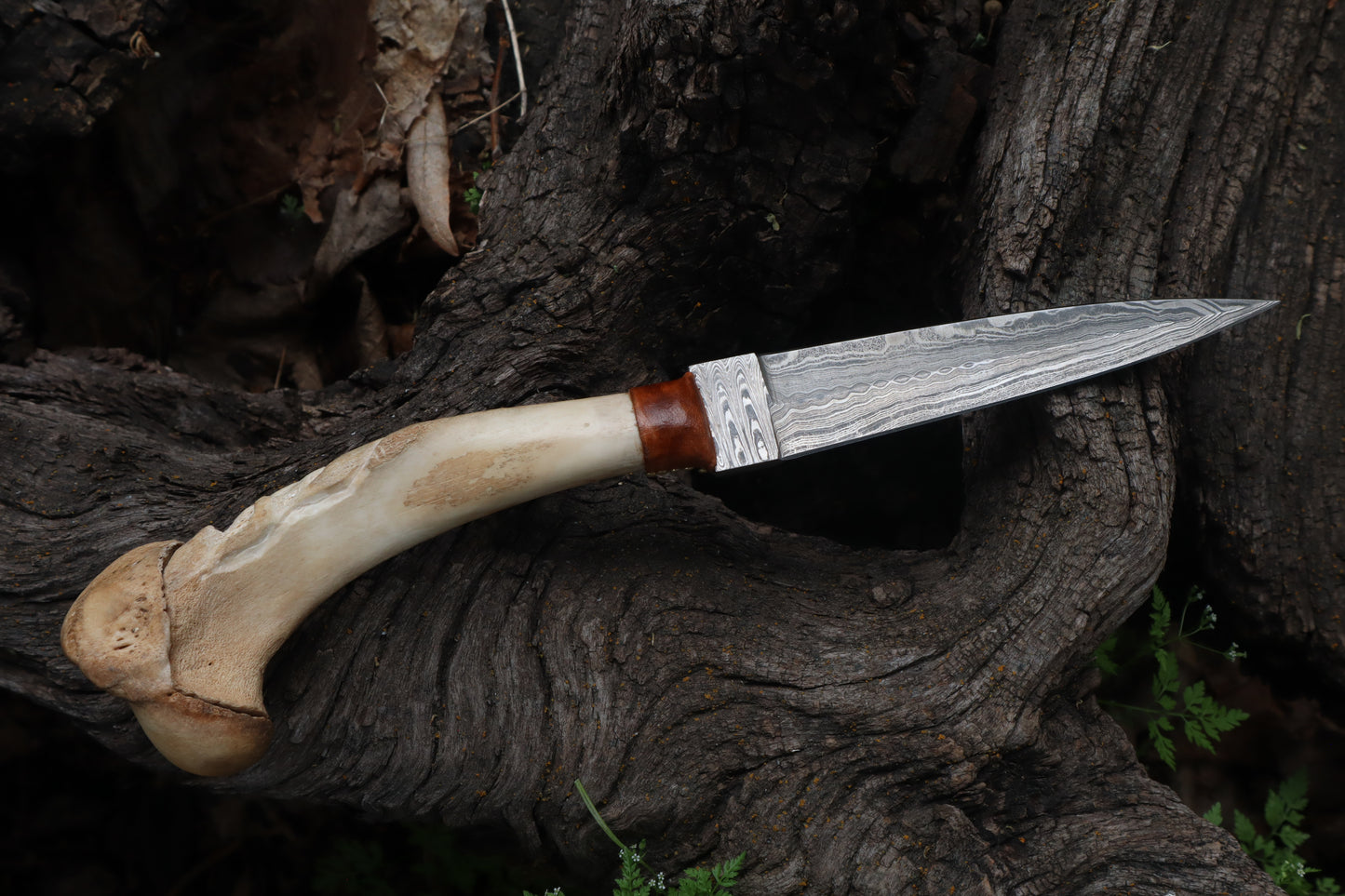 Reserved for Brandon - German Shepherd Bone Skull Knife