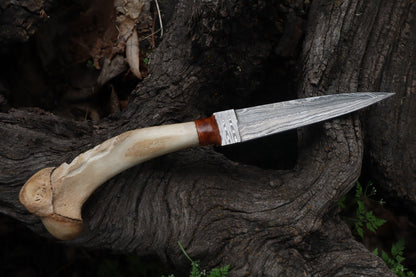 Reserved for Brandon - German Shepherd Bone Skull Knife