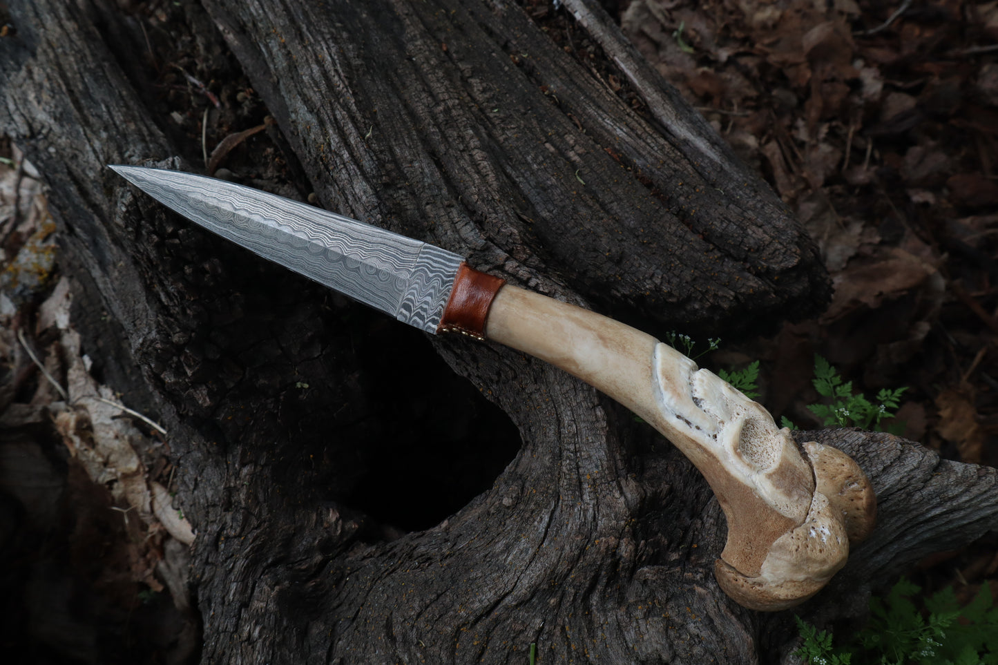 Reserved for Brandon - German Shepherd Bone Skull Knife