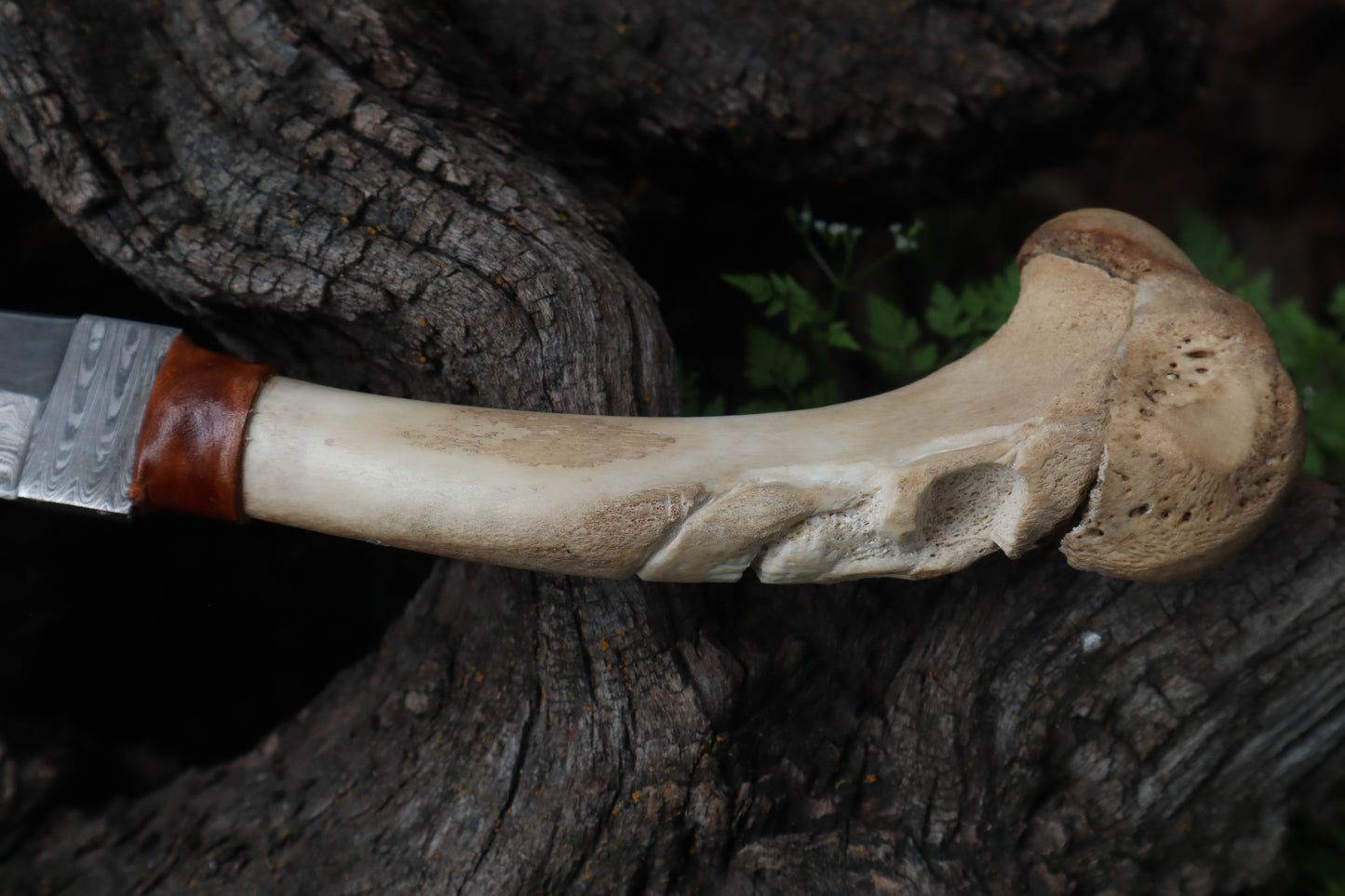 Reserved for Brandon - German Shepherd Bone Skull Knife