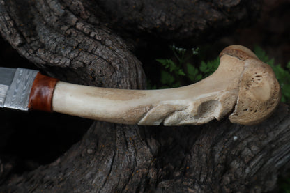 Reserved for Brandon - German Shepherd Bone Skull Knife