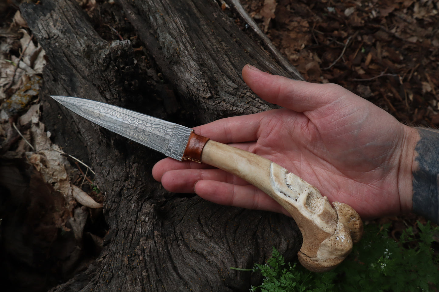 Reserved for Brandon - German Shepherd Bone Skull Knife