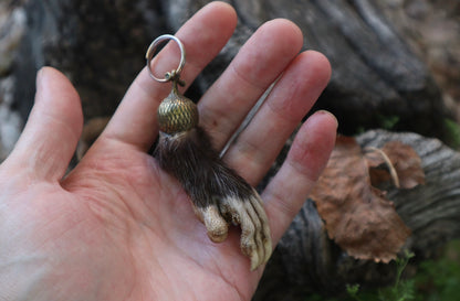Opossum Paw Acorn Keychain