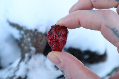 Dry Preserved Chicken Heart