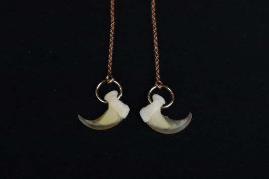 Cat Claw Earrings - 14k Rose Gold