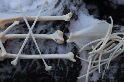 Pine Marten Bone Lot