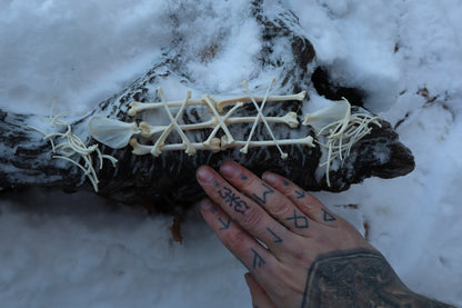 Pine Marten Bone Lot