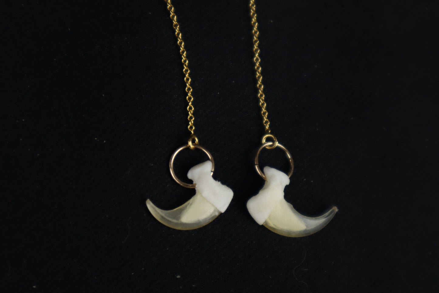 Cat Claw Earrings - 14k Yellow Gold
