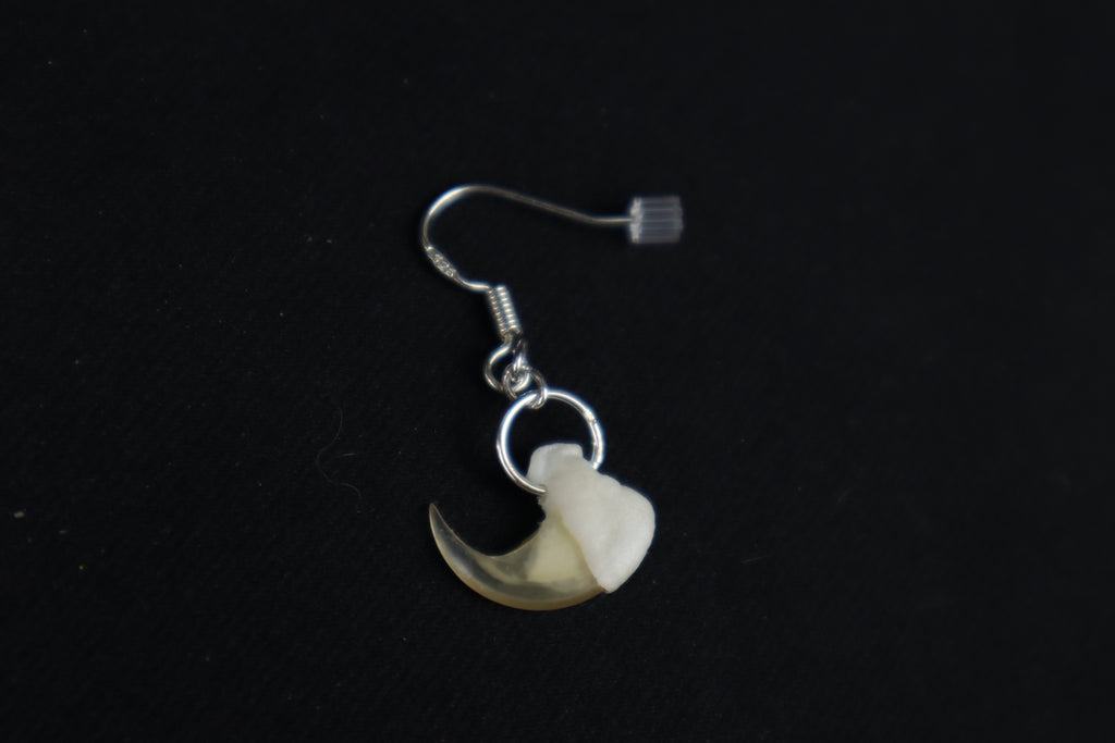 Cat Claw Earring - Single