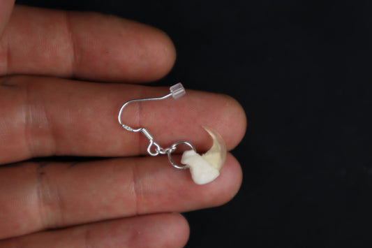 Cat Claw Earring - Single