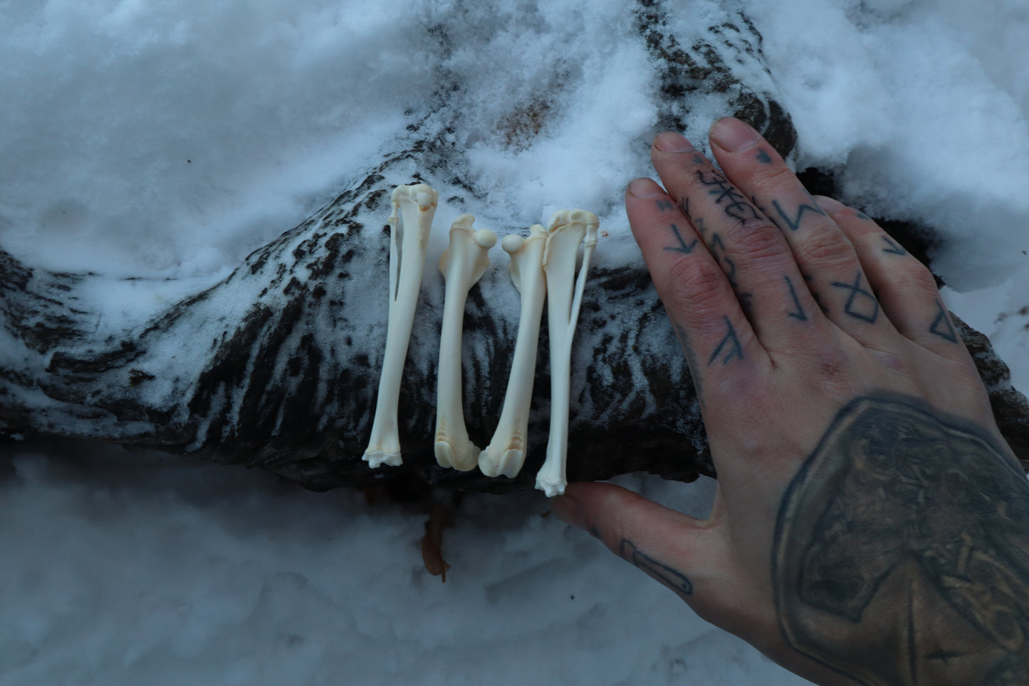 Rabbit Bone Lot